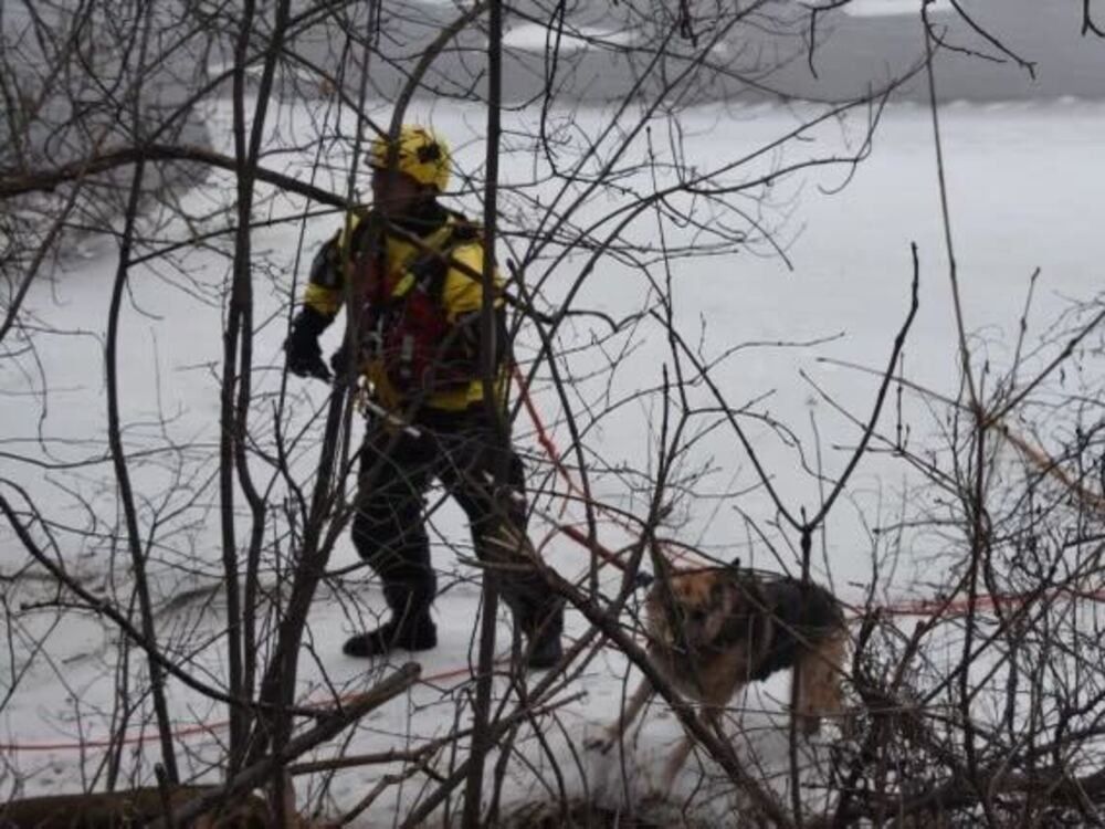 Ottawa first responders rescue dog from Rideau River