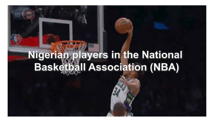 Nigerian players in the National Basketball Association (NBA)