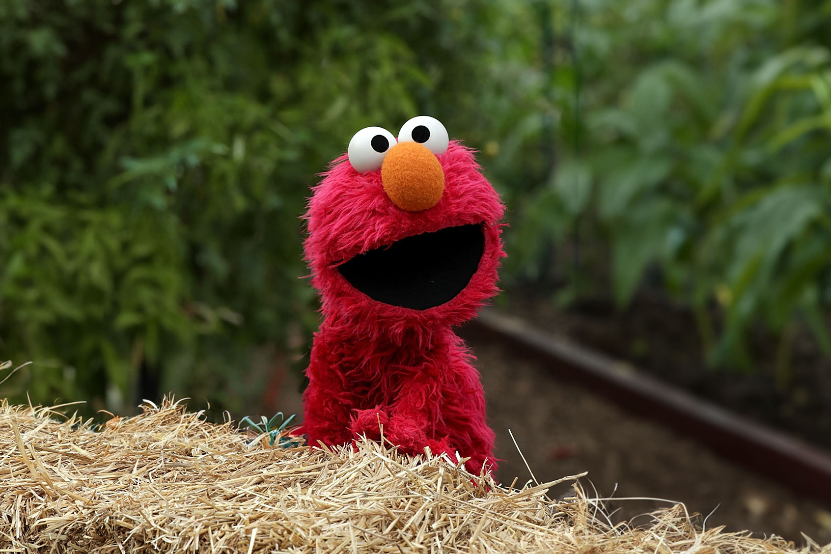 Elmo asked people online if they were OK, and the responses were unexpectedly dark