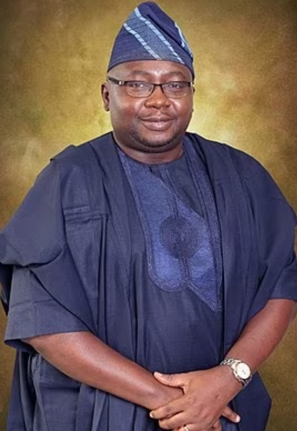 Removal of Electricity Subsidy Imminent for Stable Power Supply – Adelabu