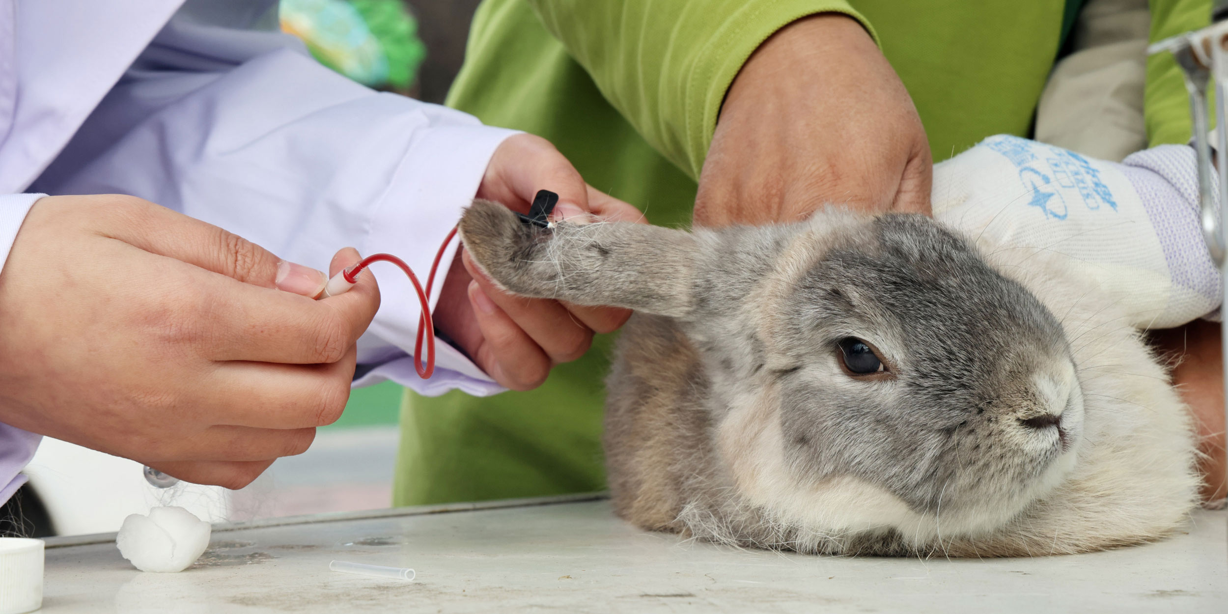 China’s Vet Shortage, by the Numbers