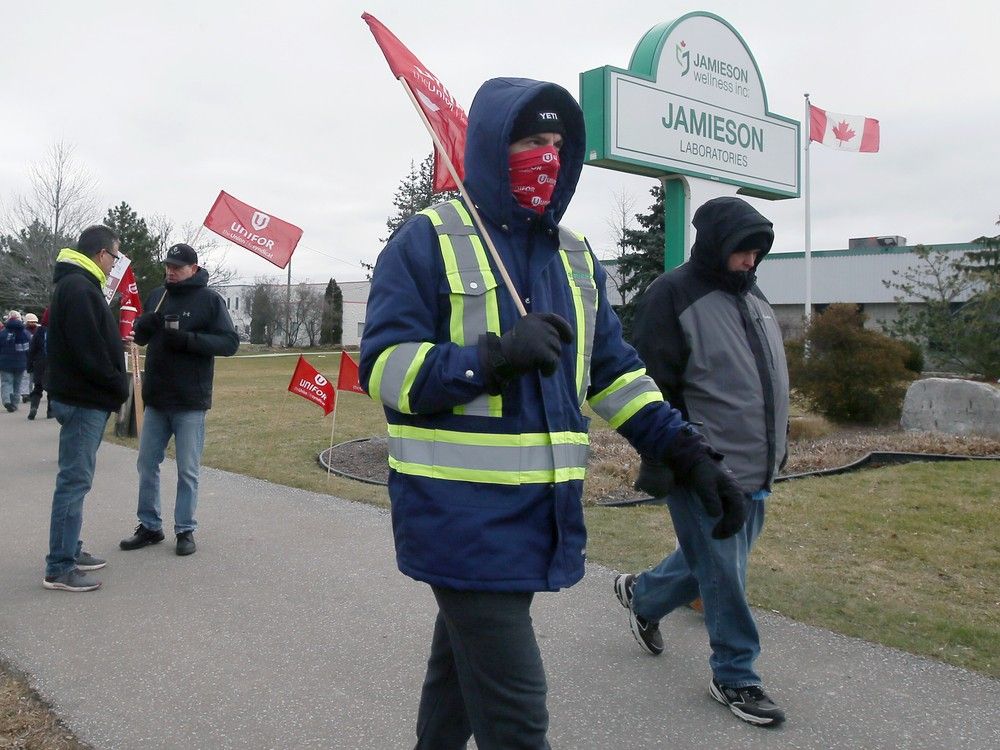 No talks planned in Jamieson Laboratories Windsor strike