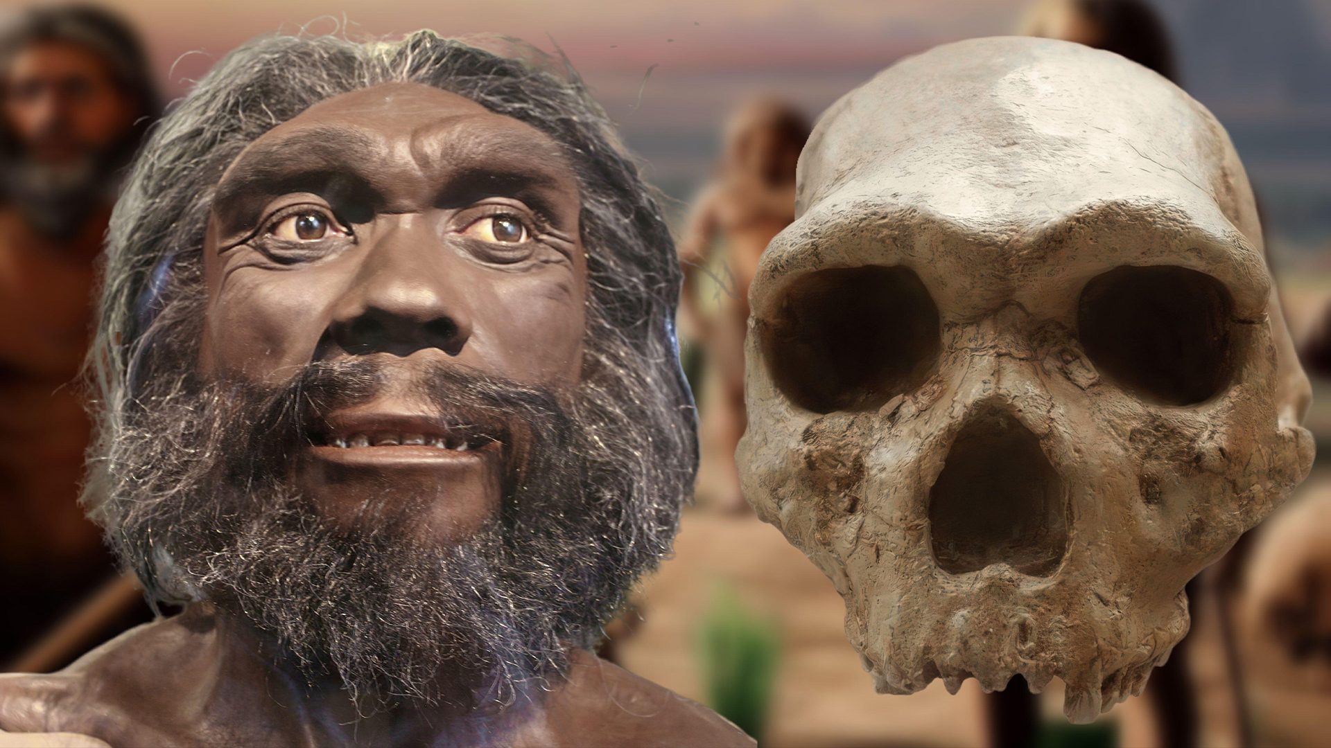 Our mixed-up human family: 8 human relatives that went extinct (and 1 that didn’t)