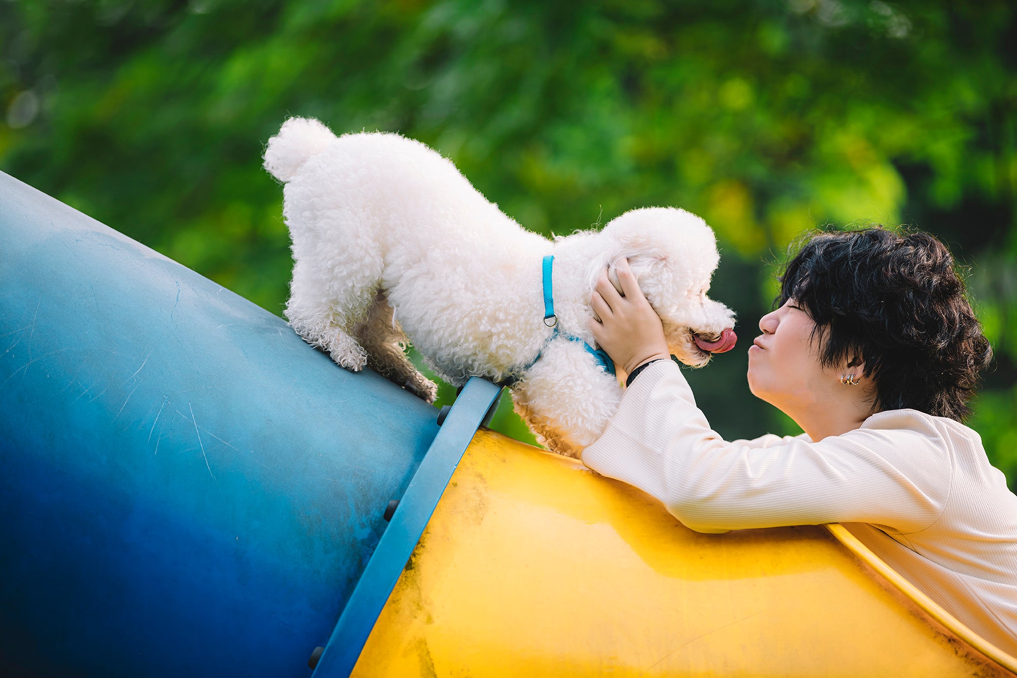 A Dog Breed’s Size and Face Shape Might Predict How Long It Lives