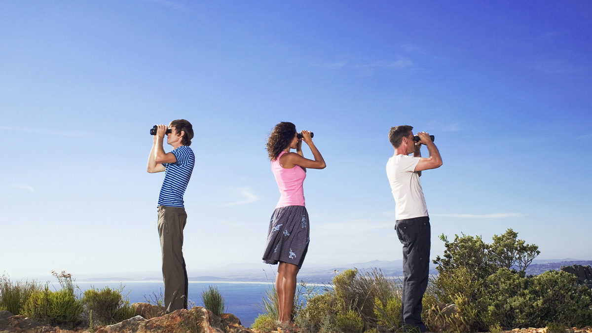 How Curiosity Can Make Your Meetings — and Team — Better