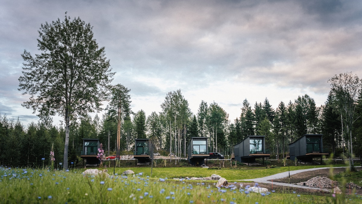 Letting off steam: everything you need to know about Finnish sauna