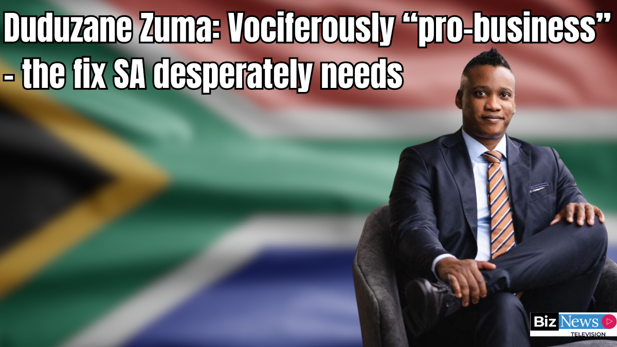 Duduzane Zuma: Vociferously “pro-business” – the fix SA desperately needs