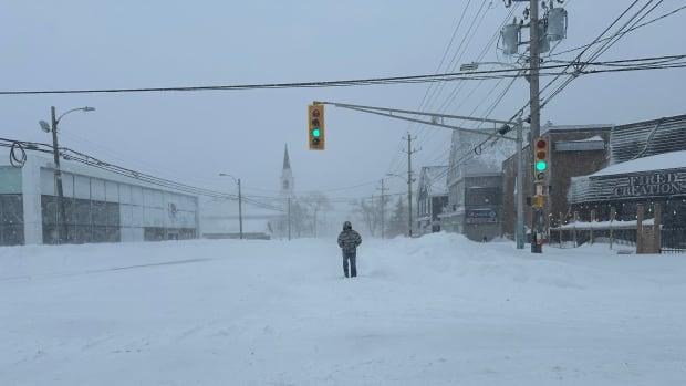 Gusty winds could create blizzard-like conditions in parts of Nova Scotia