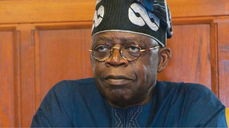 Rewane Tasks Tinubu to Save Nigeria Economy 