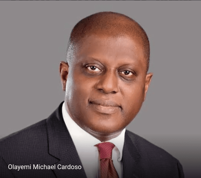 Education, Medical Tourism Responsible for Naira Depreciation – Cardoso 