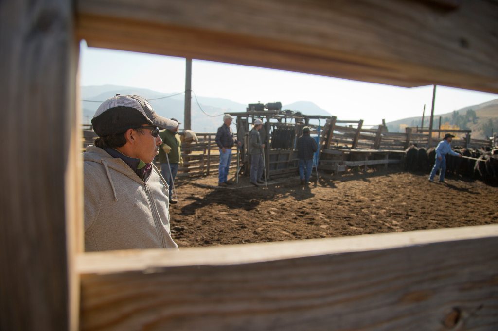 Colorado avanza con proyectos para conectar a trabajadores agrícolas con servicios de salud mental