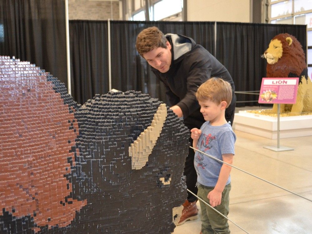 Visitors flock to LaSalle to be awed by giant LEGO sculptures