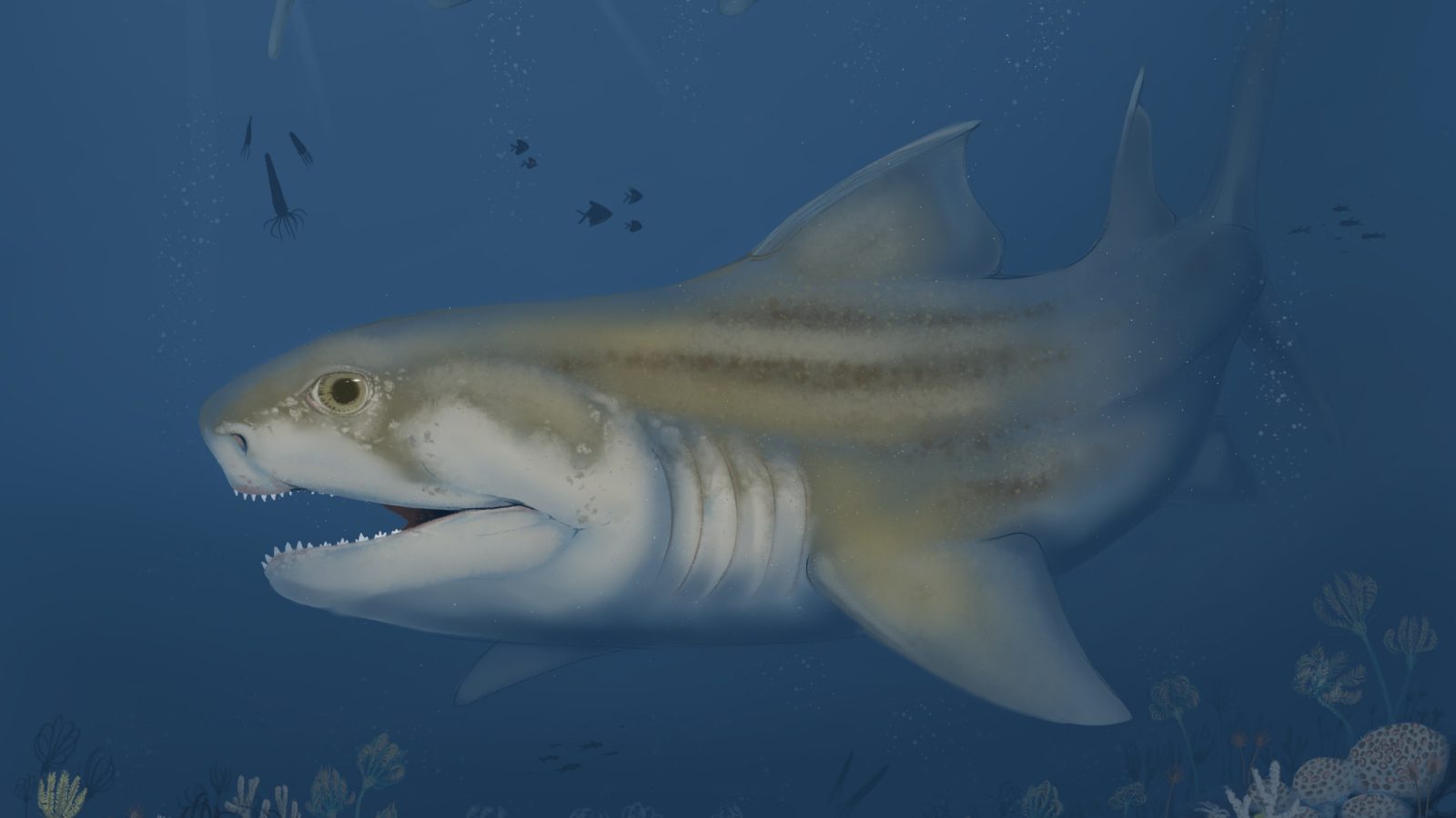 325 million-year-old shark graveyard discovered deep within Mammoth Cave harbors new fossilized species