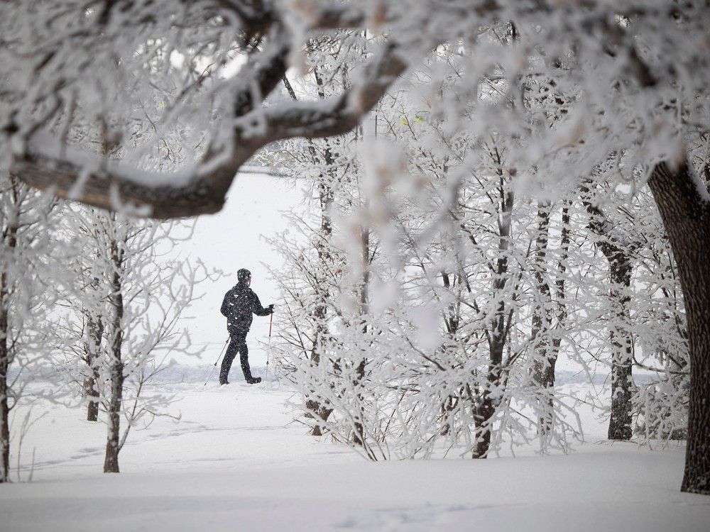 Regina weather: Snow, risk of freezing rain continue for another day