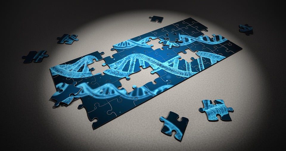 Epigenetic Drift Fuels Clock Signals, Study Reveals | Mirage News