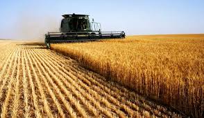 Russia-Ukraine War: Wheat Import to Africa Hits $20b