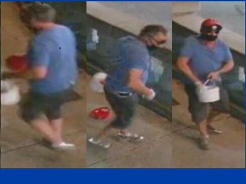 Police seek assistance locating suspect in Charlotte Street paint attack