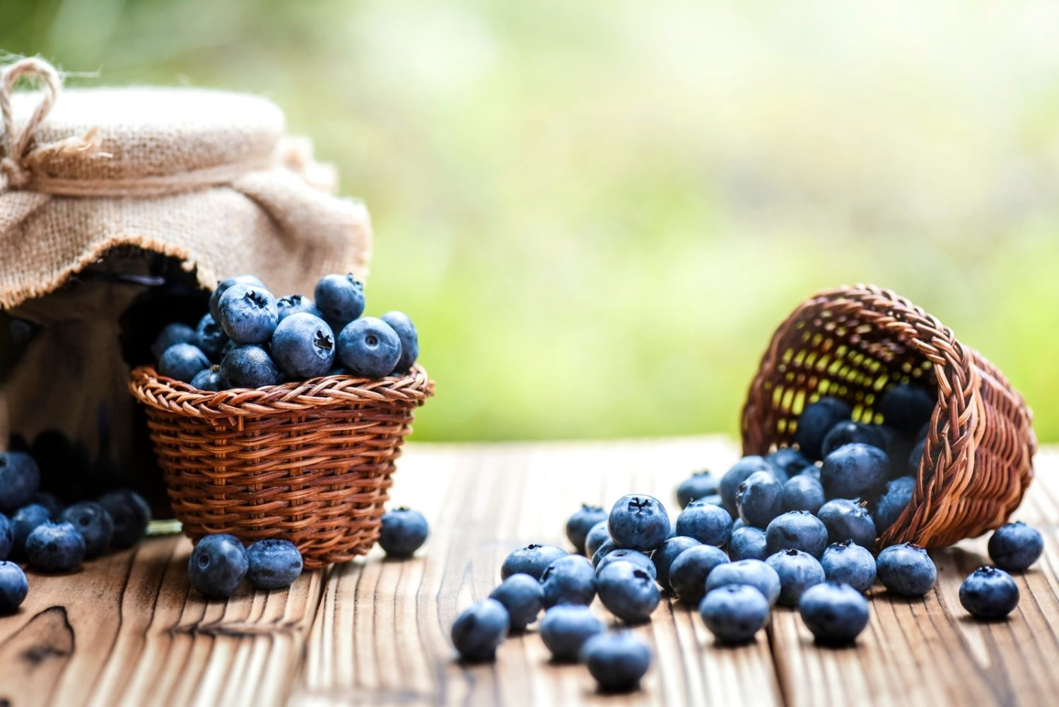 We finally know why blueberries are blue