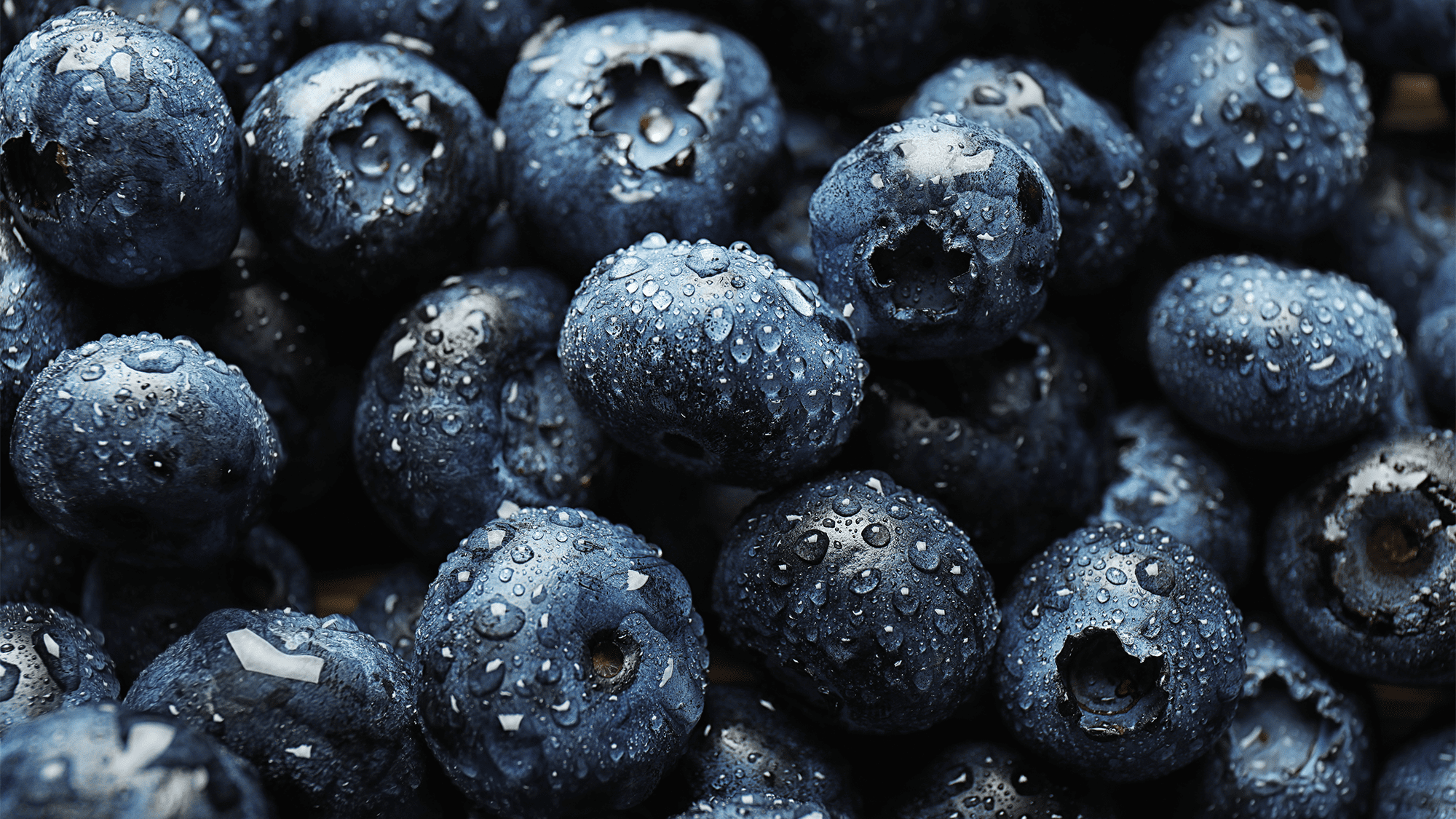 Why blueberries aren’t technically blue