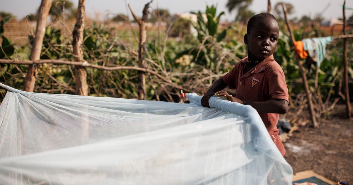 Why would anyone be against lifesaving malaria bednets?