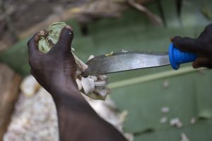 You’re going to pay more for your chocolate bars because of El Nino and climate change in Africa. Just look at what chocolate firms are saying