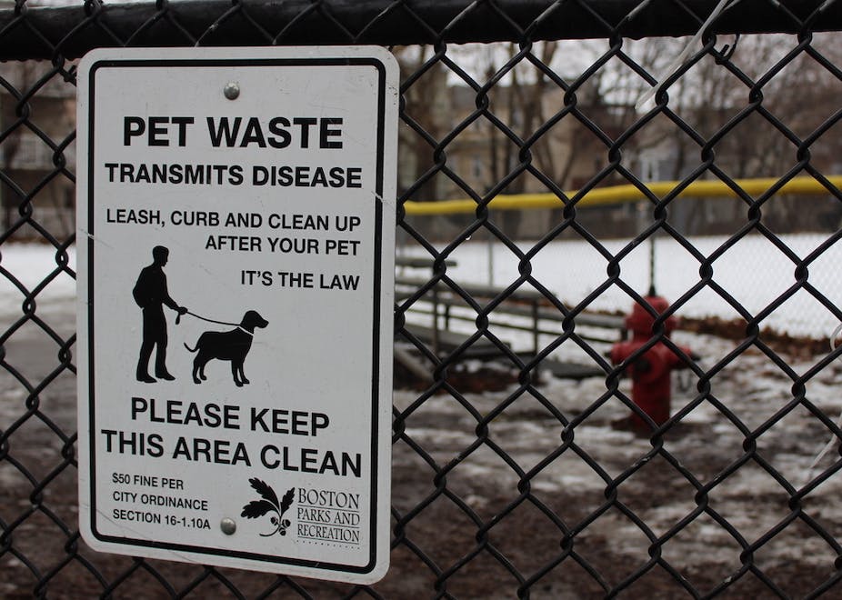 Pet Poop Is A Health Hazard That Could Spread Disease