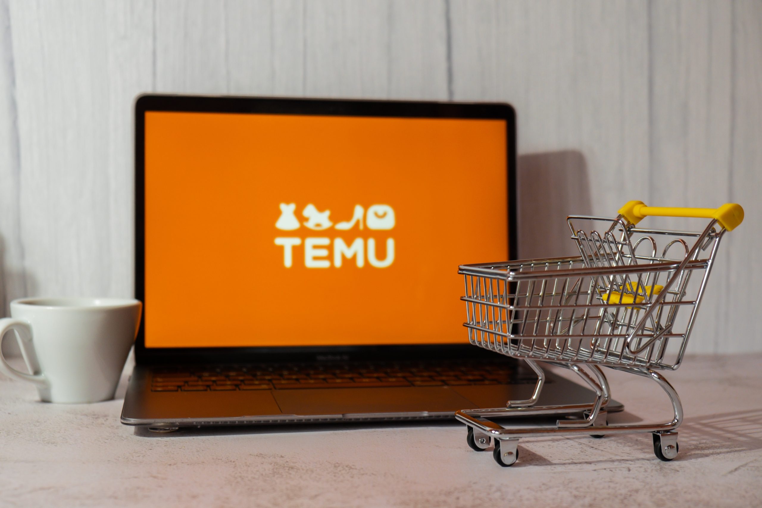 Temu mulls hiring sellers in covered countries amid lowering cost