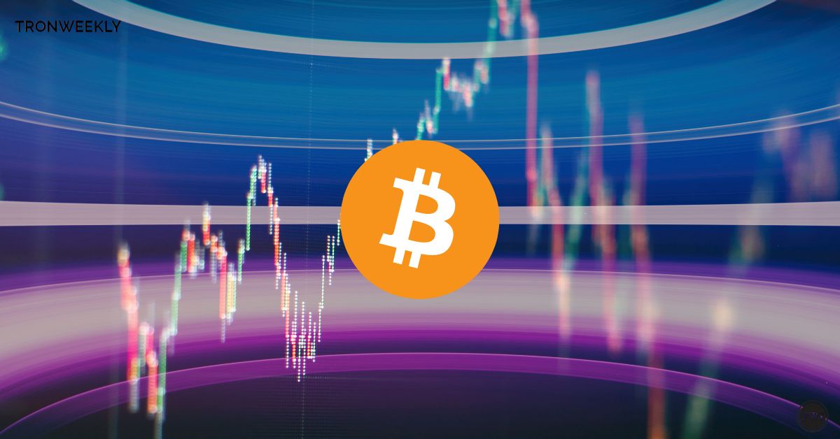 Bitcoin On The Verge Of $55k Before Halving, Experts Say