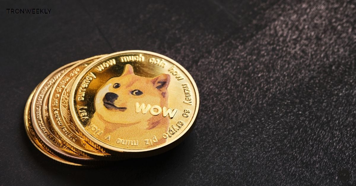 Dogecoin Foundation’s 2024 Vision: LibDogecoin 0.1.3 Update And Beyond