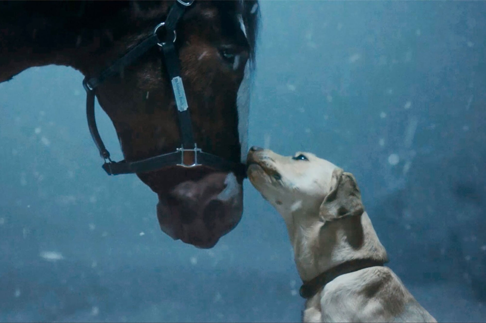 Why Super Bowl Commercials Are the Ultimate Marketing Play