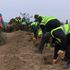 Why old Christmas trees are being buried on the beach