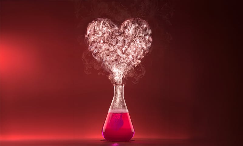 The Brave New Science of Love