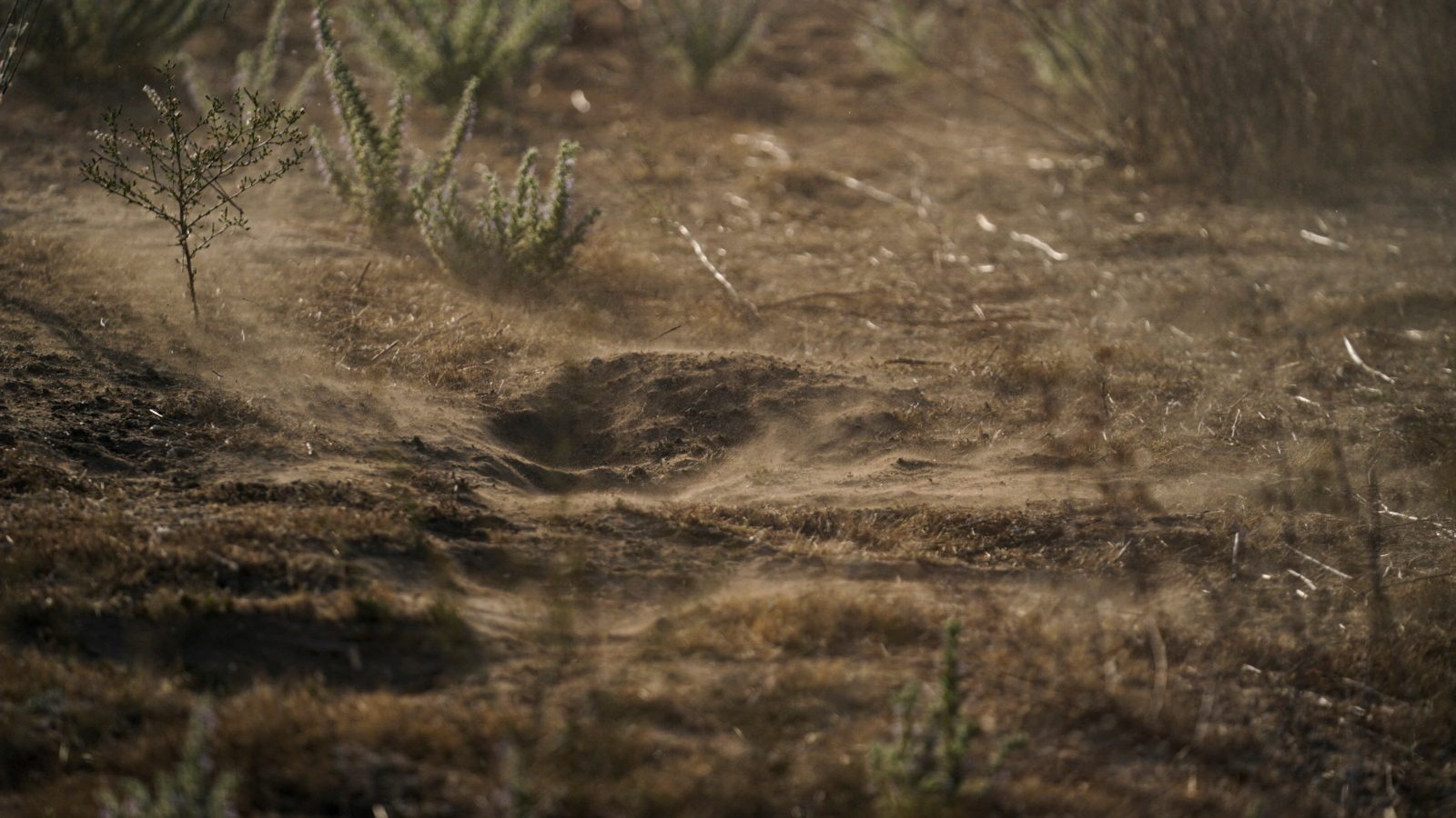 Intensifying atmospheric rivers are leading to a surge in Valley fever cases in California