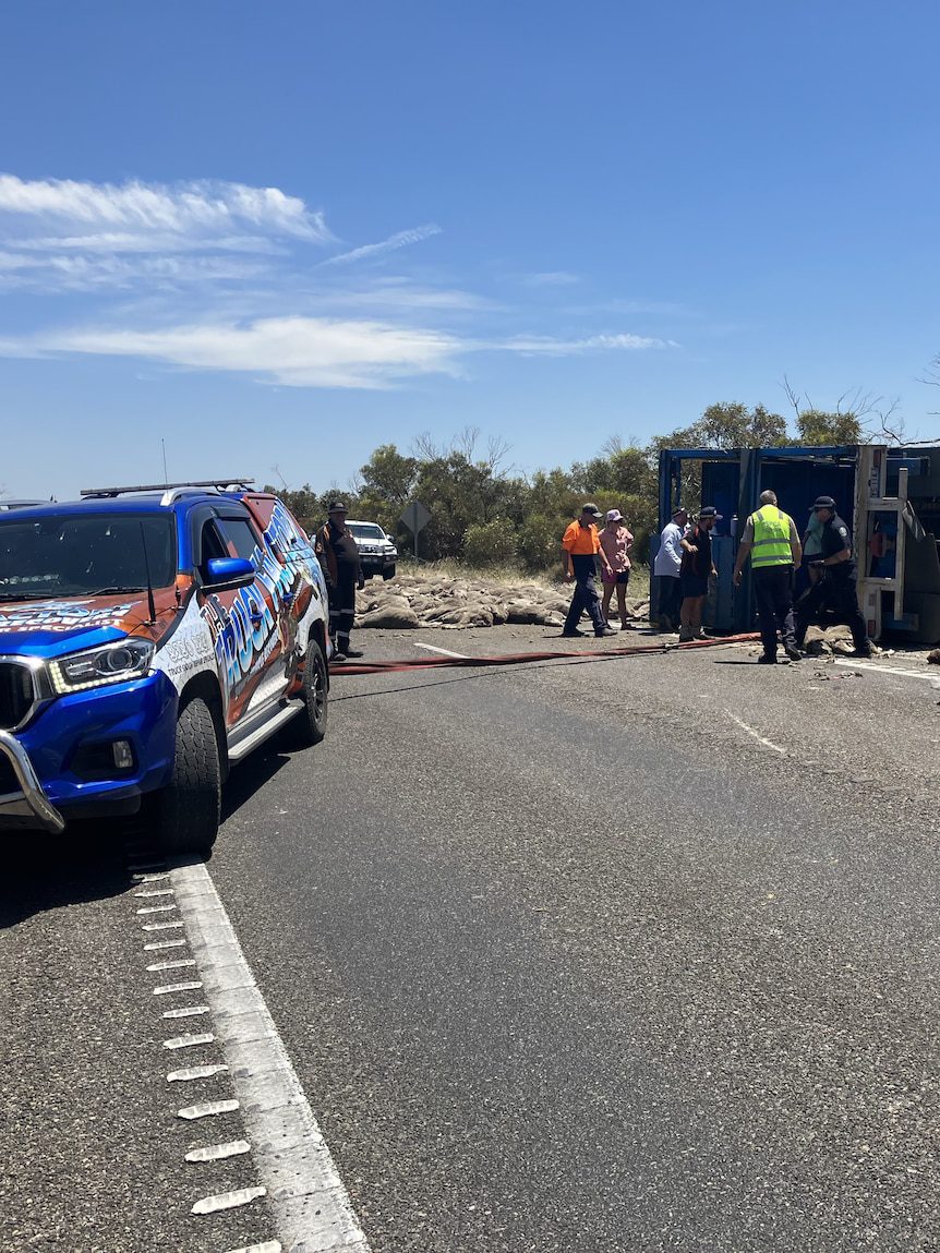 Calls for training after livestock deaths in recent truck crashes in South Australia