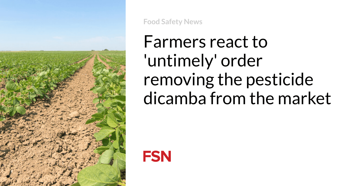 Farmers react to ‘untimely’ order removing the pesticide dicamba from the market