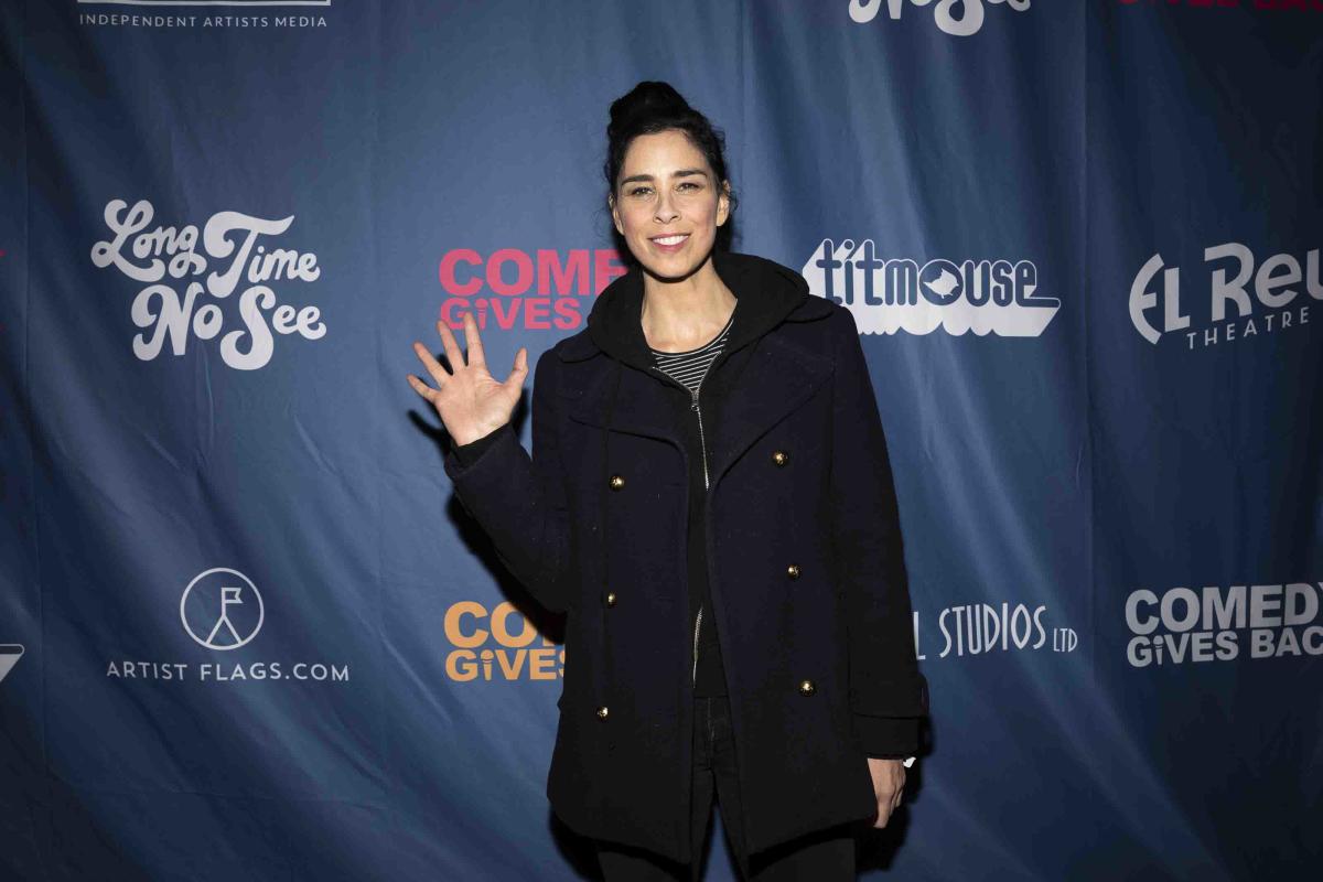 Sarah Silverman’s copyright infringement suit against OpenAI will advance in pared-down form