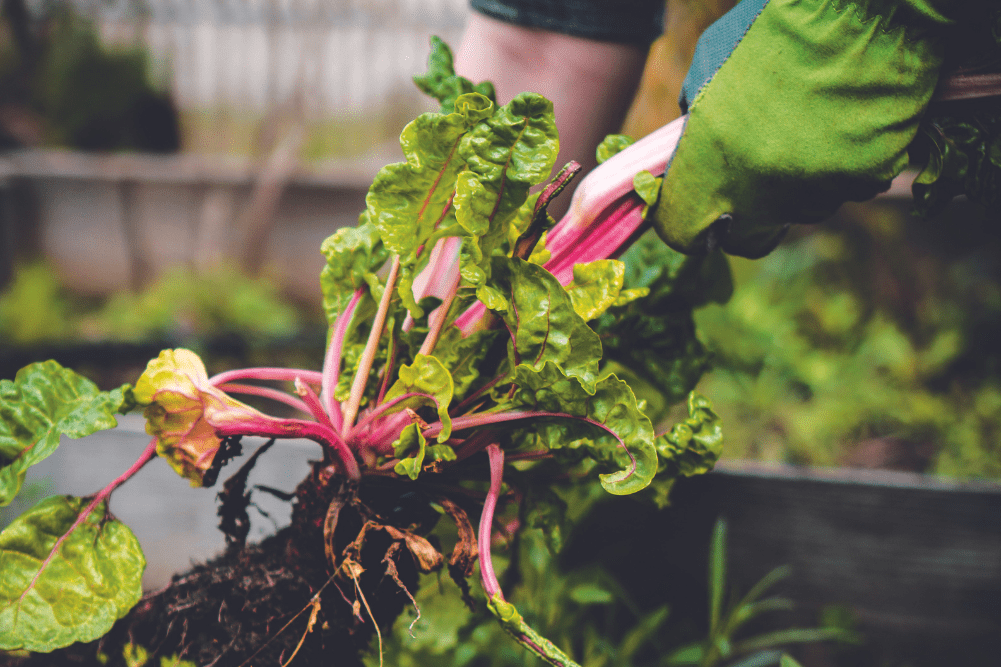 Community-based prepping