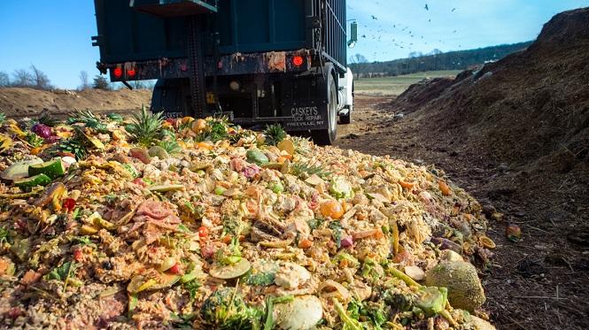 ‎Saudi Arabia considers mandatory waste food policy for retail firms