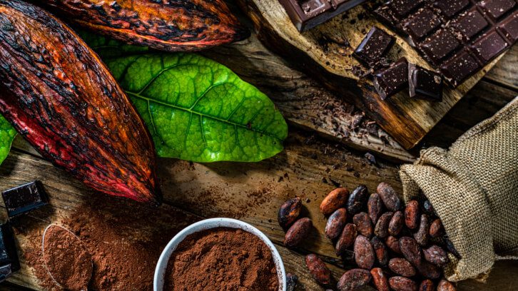 Chocolate prices likely to remain at a record high for 2024