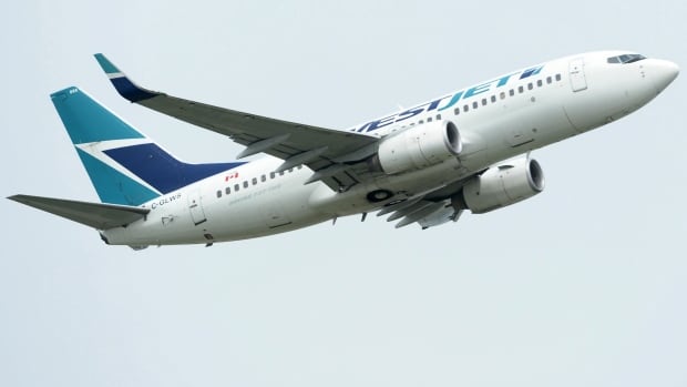 Flight diverted to Winnipeg after passenger tried to open plane door