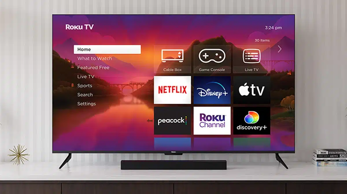 Roku Shares Plunge by Over 20% Despite Beating Q4 Estimates