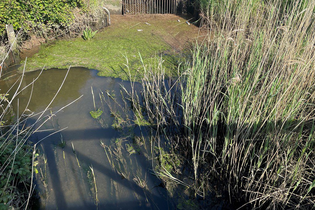 Defra faces legal challenge over second bid to relax water pollution rules