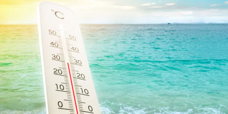 Skyrocketing ocean temperatures have scientists scratching their heads