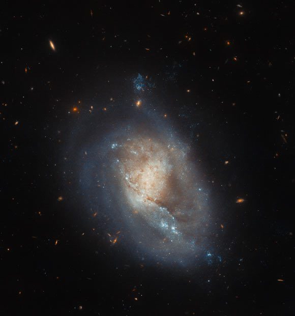 Hubble Spots Dwarf Spiral Galaxy in Coma Berenices