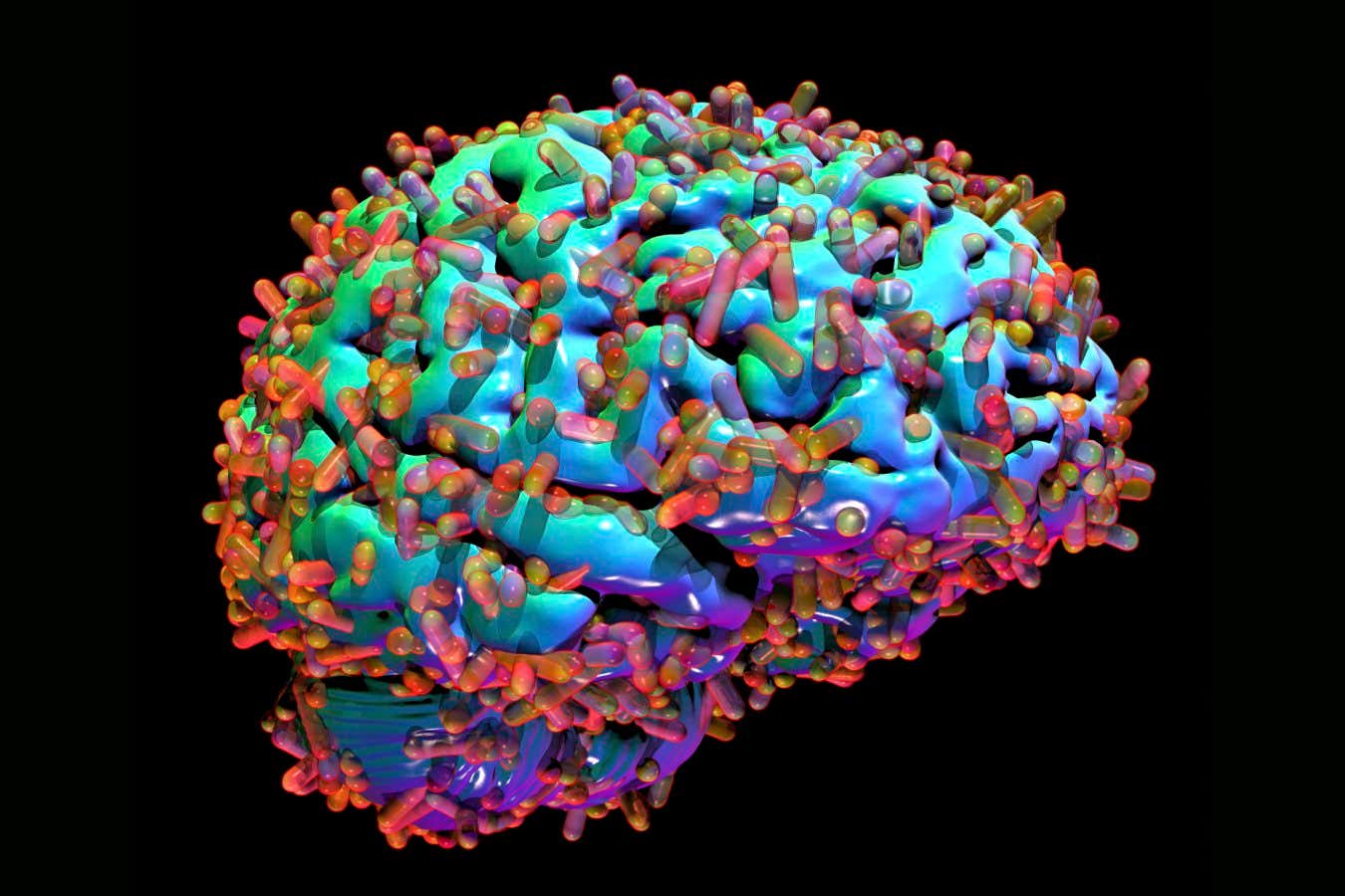 Why the brain’s microbiome could hold the key to curing Alzheimer’s