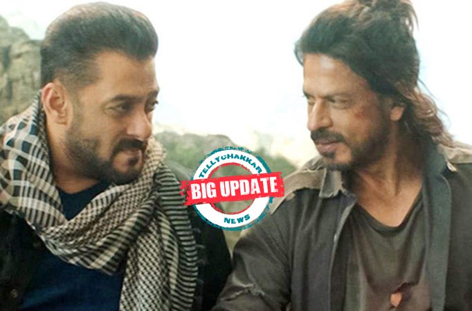 Big update! Tiger vs Pathaan: Salman Khan and Shah Rukh Khan set to begin filming this summer