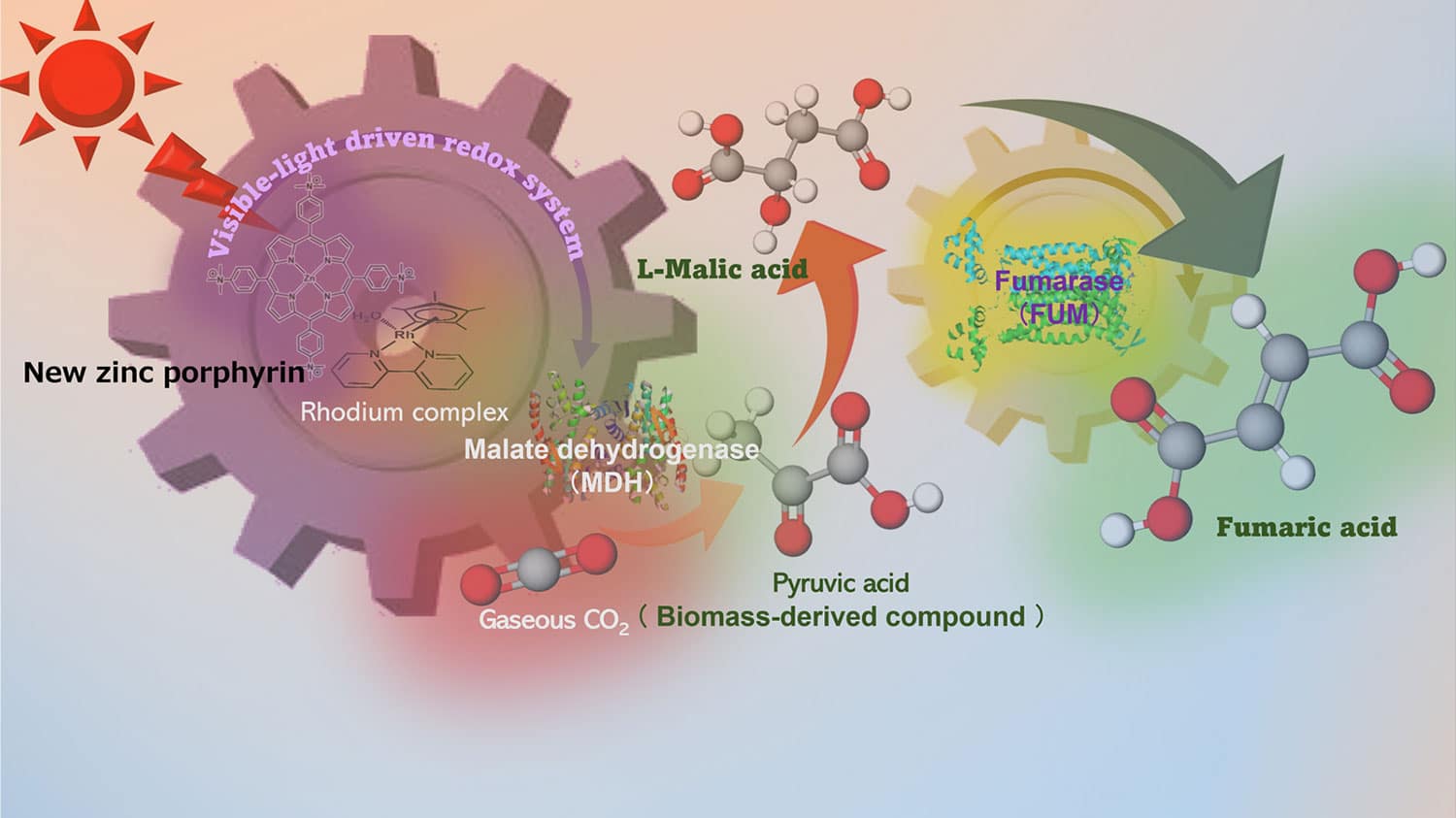 Using artificial photosynthesis to create biodegradable plastics