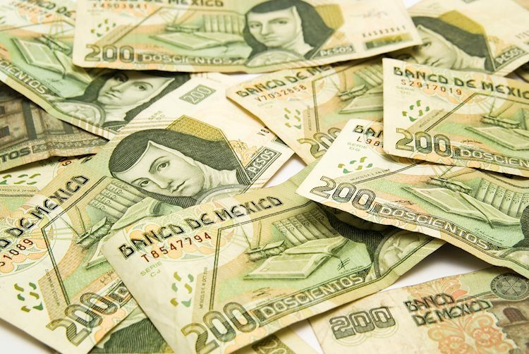 Mexican Peso losses ground against US Dollar despite risk-on impulse