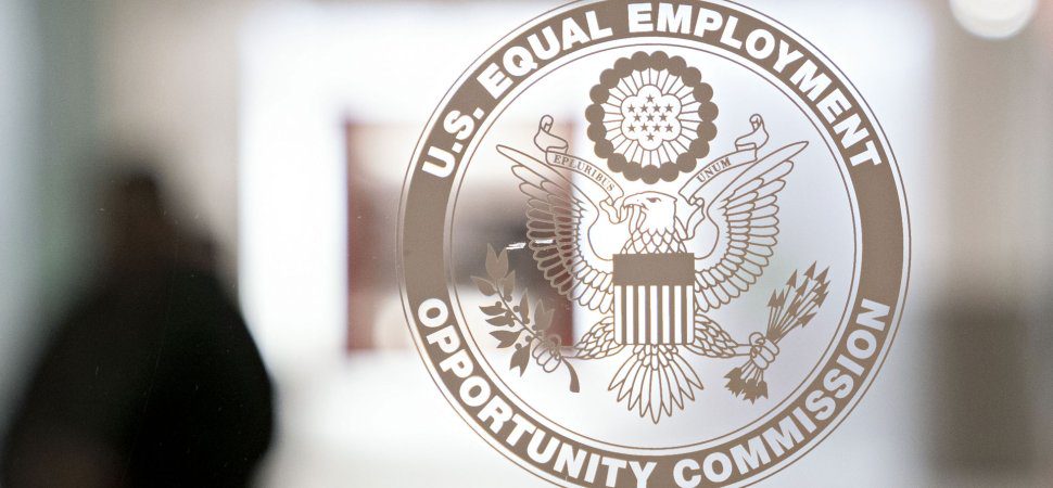 The EEOC Defends Hello Alice in Legal Battle Over DEI-Related Grant Programs