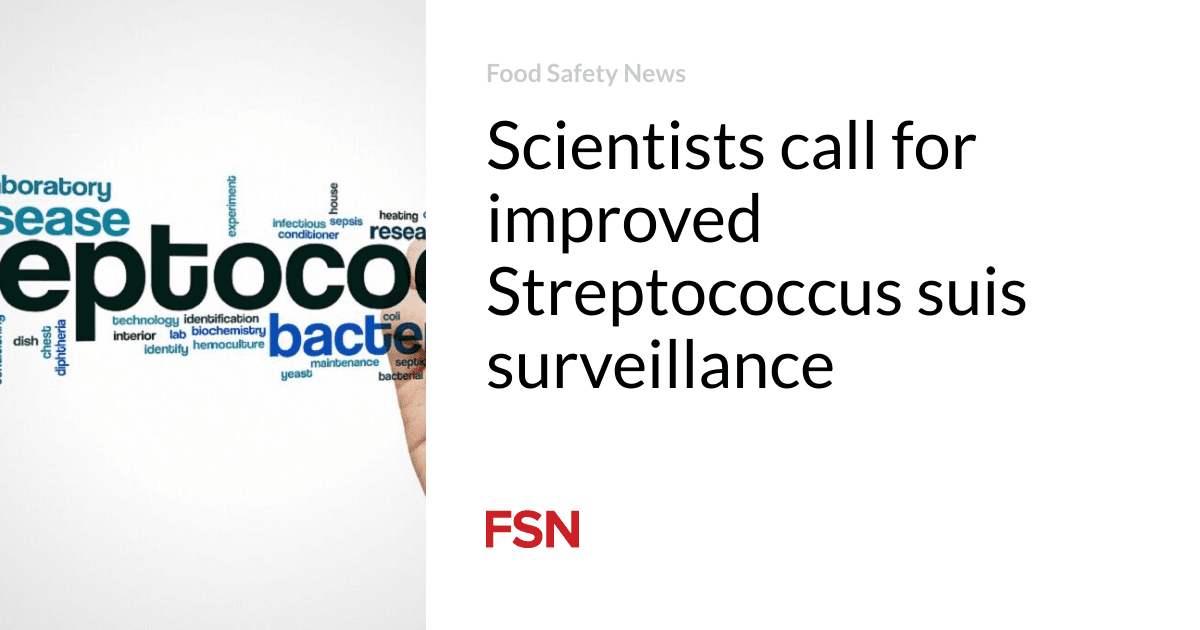 Scientists call for improved Streptococcus suis surveillance